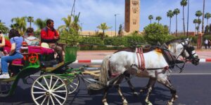 Marrakech transportation