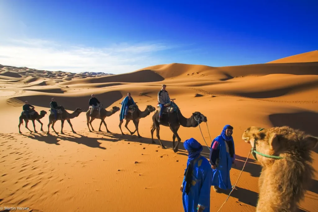 Camel riding Merzouga