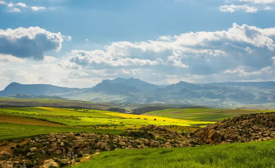 Ifrane National Park