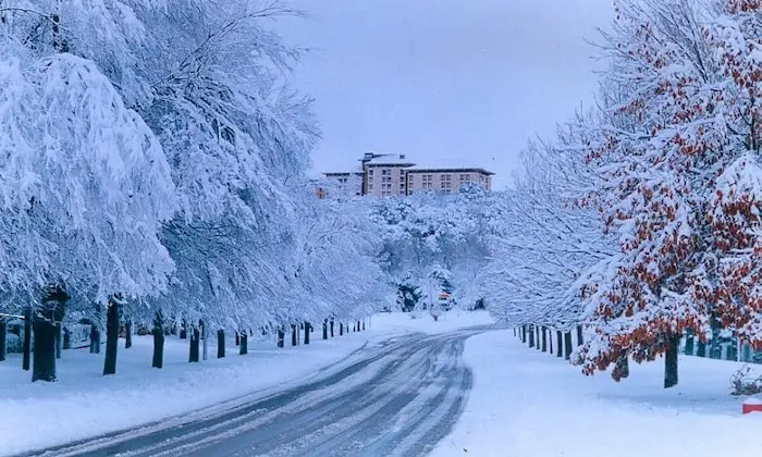 Ifrane Neige vibes