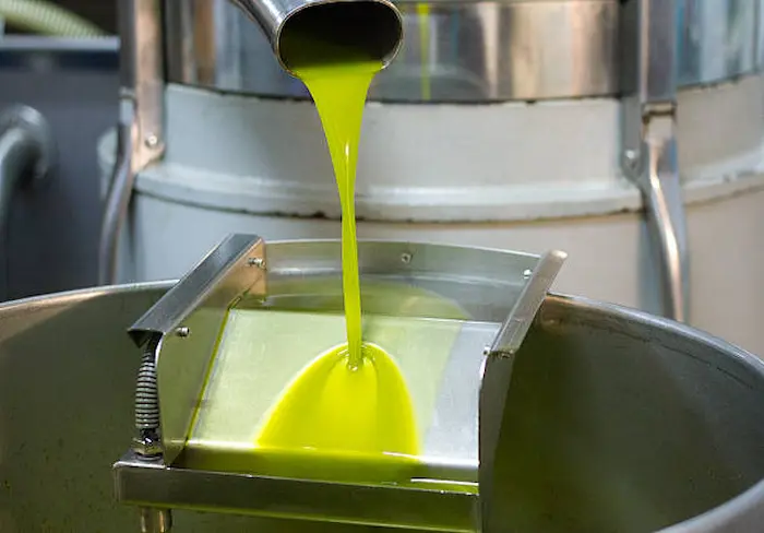 Olive oils Moderne