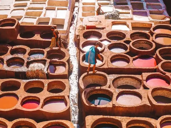 chouara tannery fez