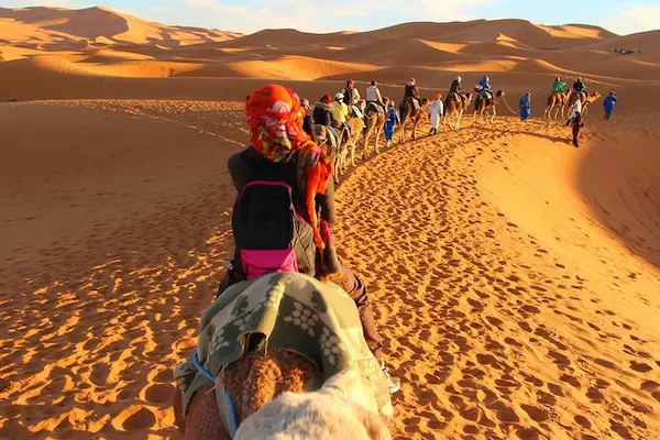 merzouga activities