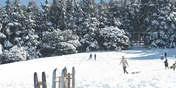 neige ifrane Morocco