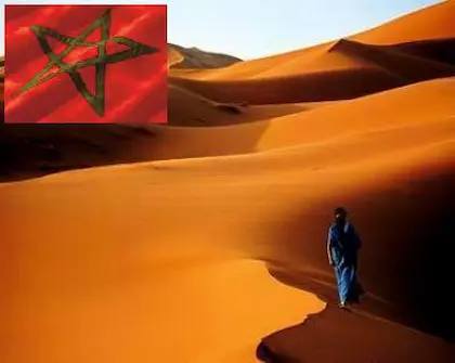 sahara Moroccan flag