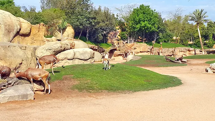 Visit Rabat Zoo